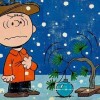 Season’s Greetings cb-xmas