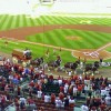 Opening Day od-horses