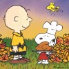 Countdown to Bird peanuts thanks