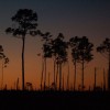 Come On Irene Gulf Shores Hurricane sunset