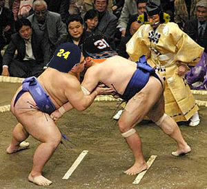 Sumo wrestlers are NASCAR fans